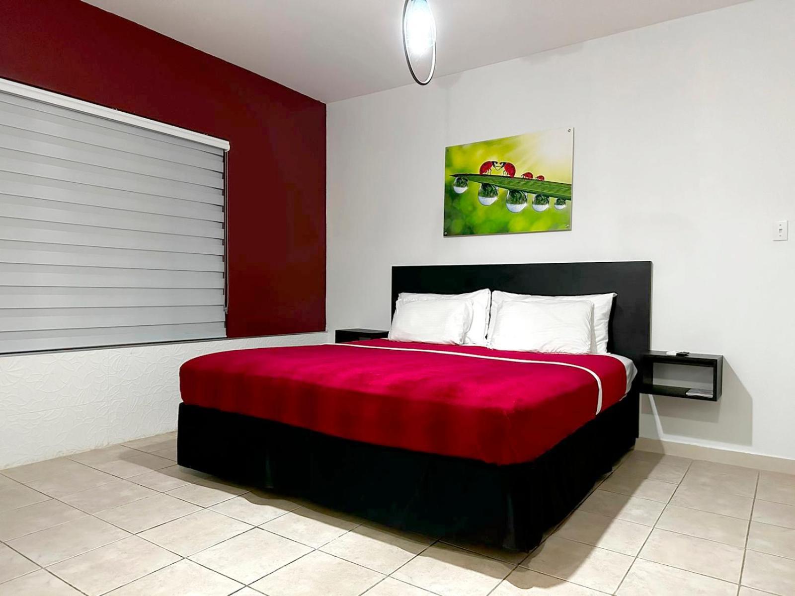 Ladybugs Apartments Palm Beach Exterior photo